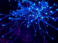 Network security, home network, information systems technology, database protection, hardening, home security for smart home, protect your home network, WiFi security, top 5 tips no cost
